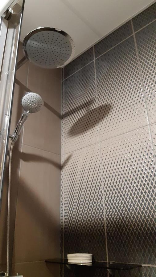 Dandelion Apartment In The Heart Of קובנה מראה חיצוני תמונה